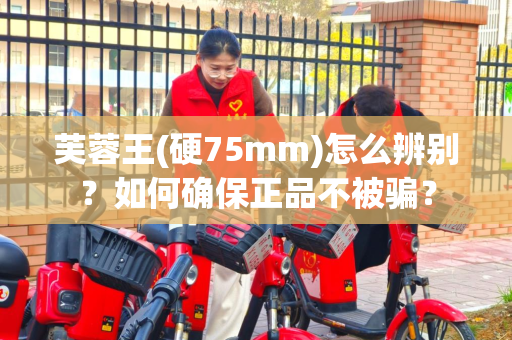 芙蓉王(硬75mm)怎么辨别？如何确保正品不被骗？